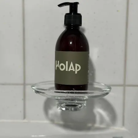 Appartement Residenza Delle Fonti By Holap Sa Minusio